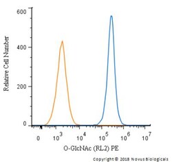 O-GlcNAc Antibody (RL2) - BSA Free, Novus Biologicals:Antibodies:Primary