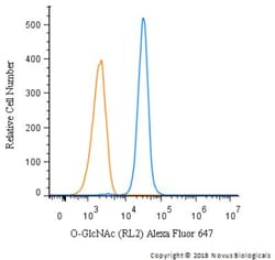 O-GlcNAc Antibody (RL2) - BSA Free, Novus Biologicals:Antibodies:Primary