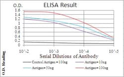 P2Y13/P2RY13/GPR86 Antibody (3E8C12) - BSA Free, Novus Biologicals:Antibodies:Primary