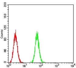 P2Y13/P2RY13/GPR86 Antibody (3E8C12) - BSA Free, Novus Biologicals:Antibodies:Primary