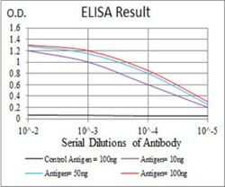 P2Y13/P2RY13/GPR86 Antibody (6G12E10) - BSA Free, Novus Biologicals:Antibodies:Primary