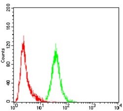 P2Y13/P2RY13/GPR86 Antibody (6G12E10) - BSA Free, Novus Biologicals:Antibodies:Primary