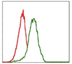 PDX-1/IPF1 Antibody (5A5) - BSA Free, Novus Biologicals:Antibodies:Primary