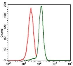 PP2C alpha/PPM1A Antibody (7F12) - BSA Free, Novus Biologicals:Antibodies:Primary