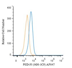 PSD-95 Antibody (6G6-1C9) - BSA Free, Novus Biologicals 0.1mL; Unlabeled:Antibodies,
