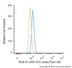 PSD-95 Antibody (6G6-1C9) - BSA Free, Novus Biologicals 0.1mL; Unlabeled:Antibodies,