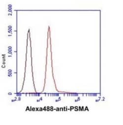 PSMA/FOLH1/NAALADase I Antibody (k1H7) - BSA Free, Novus Biologicals 0.1mL;