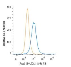Pax6 Antibody (PAX6/1166), Novus Biologicals 0.2mg; Unlabeled:Antibodies,