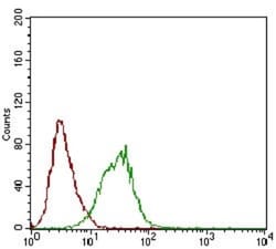 Phospholipase A2 XII Antibody (7C7C9) - BSA Free, Novus Biologicals:Antibodies:Primary