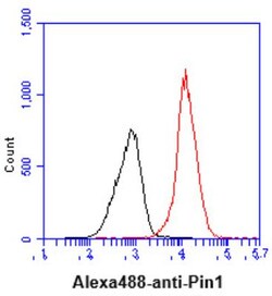 Pin1 Antibody (3G8) - BSA Free, Novus Biologicals 0.1 ml; Unconjugated:Antibodies,
