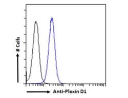 Plexin D1 Antibody, Novus Biologicals 0.1mg; Unlabeled:Antibodies, Polyclonal