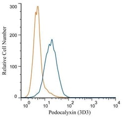 Podocalyxin Like Antibody (3D3), Novus Biologicals:Antibodies:Primary Antibodies