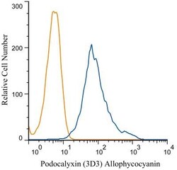Podocalyxin Like Antibody (3D3), Novus Biologicals:Antibodies:Primary Antibodies