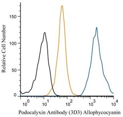 Podocalyxin Like Antibody (3D3), Novus Biologicals:Antibodies:Primary Antibodies