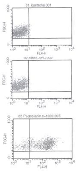 Podoplanin Antibody (18H5) - Azide and BSA Free, Novus Biologicals 0.1