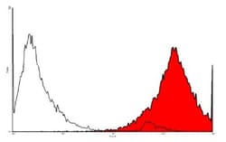 Podoplanin Antibody (18H5) - Azide and BSA Free, Novus Biologicals 0.1