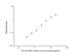 Novus Biologicals™ Porcine CXCL12/SDF-1 ELISA Kit (Colorimetric)