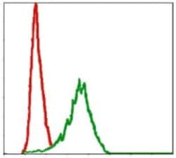 Pref-1/DLK1/FA1 Antibody (3A10), Novus Biologicals:Antibodies:Primary Antibodies