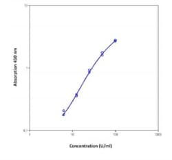 Novus Biologicals™ Monkey ICAM-1/CD54 ELISA Kit (Colorimetric)