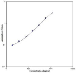 Novus Biologicals™ Monkey IL-2 ELISA Kit (Colorimetric)
