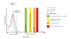Epiregulin Antibody (189611) [CoraFluor 1], Novus Biologicals&trade;
