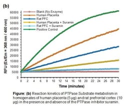 Novus Biologicals Protein Tyrosine Phosphatase Activity Assay Kit (Fluorometric) 100 Assays | Buy Online | Novus Biologicals&trade; | Fisher Scientific