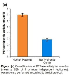 Novus Biologicals Protein Tyrosine Phosphatase Activity Assay Kit (Fluorometric) 100 Assays | Buy Online | Novus Biologicals&trade; | Fisher Scientific