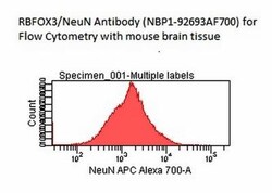 RBFOX3/NeuN Antibody (1B7), Novus Biologicals:Antibodies:Primary Antibodies