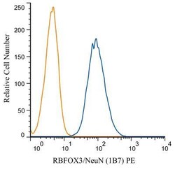 RBFOX3/NeuN Antibody (1B7), Novus Biologicals:Antibodies:Primary Antibodies