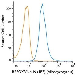 RBFOX3/NeuN Antibody (1B7), Novus Biologicals:Antibodies:Primary Antibodies