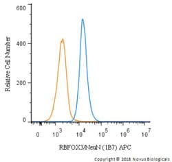 RBFOX3/NeuN Antibody (1B7), Novus Biologicals:Antibodies:Primary Antibodies
