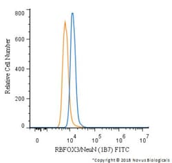 RBFOX3/NeuN Antibody (1B7), Novus Biologicals:Antibodies:Primary Antibodies