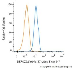 RBFOX3/NeuN Antibody (1B7), Novus Biologicals:Antibodies:Primary Antibodies