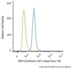 RBFOX3/NeuN Antibody (1B7), Novus Biologicals:Antibodies:Primary Antibodies