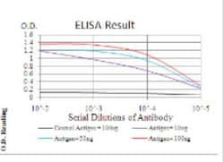 RHAMM/CD168 Antibody (2F2C9) - BSA Free, Novus Biologicals 0.1mg; Unlabeled:Antibodies,