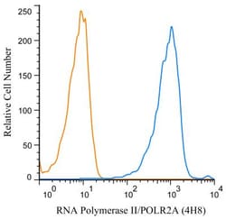RNA Polymerase II/POLR2A Antibody (4H8) - Azide and BSA Free, Novus Biologicals:Antibodies:Primary