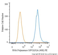 RNA Polymerase II/POLR2A Antibody (4H8) - Azide and BSA Free, Novus Biologicals:Antibodies:Primary