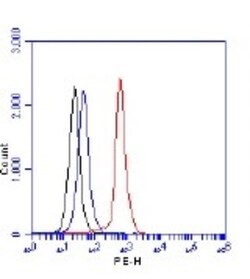 RPTOR Antibody, Novus Biologicals 0.1mg; Unlabeled:Antibodies, Polyclonal