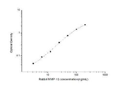 Novus Biologicals™ Rabbit MMP-13 ELISA Kit (Colorimetric)