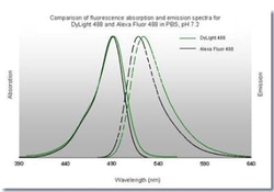 Rabbit anti-Goat IgG (H+L) Secondary Antibody, DyLight 488, Novus Biologicals