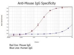 Rabbit anti-Mouse IgG (H+L) Secondary Antibody (Pre-adsorbed), Novus Biologicals™