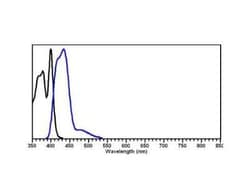 Rabbit anti-Mouse IgG (H+L) Secondary Antibody (Pre-adsorbed), Novus Biologicals