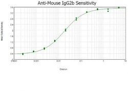 Rabbit anti-Mouse IgG2b Heavy Chain Secondary Antibody, Novus Biologicals