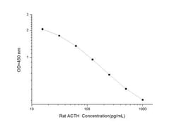 Novus Biologicals™ Rat ACTH ELISA Kit (Colorimetric)