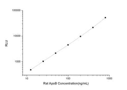 Novus Biologicals&trade;&nbsp;Rat Apolipoprotein B/ApoB ELISA Kit (Chemiluminescence)