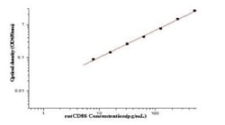 Novus Biologicals&nbsp;Rat B7-2/CD86 ELISA Kit (Colorimetric)