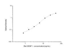Novus Biologicals&trade;&nbsp;Rat CENPI ELISA Kit (Colorimetric)