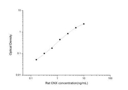 Novus Biologicals&trade;&nbsp;Rat Calnexin ELISA Kit (Colorimetric)