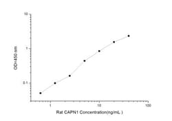 Novus Biologicals&trade;&nbsp;Rat Calpain 1 ELISA Kit (Colorimetric)