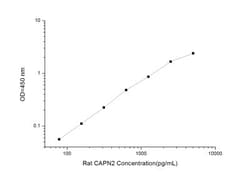 Novus Biologicals&trade;&nbsp;Rat Calpain 2 ELISA Kit (Colorimetric)